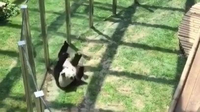 akai-using-ulti-s3-mobile-legends thumbnail