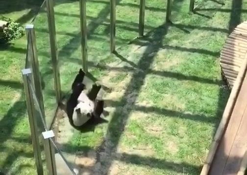 akai-using-ulti-s3-mobile-legends thumbnail