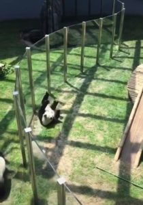 akai-using-ulti-s3-mobile-legends thumbnail