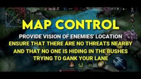 A Tanking 303 Class [Peeling, Zoning, and Map Control]