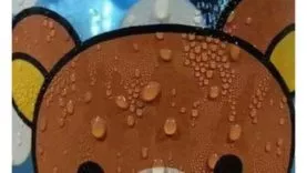 fanny-and-first-time-hanzo