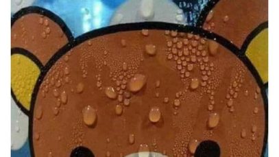 fanny-and-first-time-hanzo