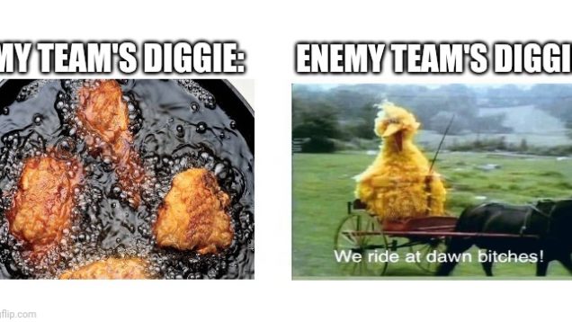 our-diggie-vs-theirs