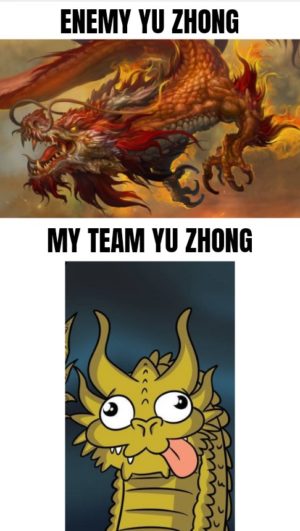 my-ally-yu-zhong