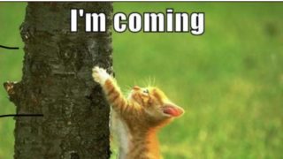 alucard-after-10-mins-jungle