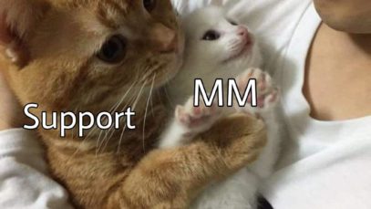 babytting-in-mobile-legends