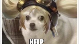 layla-checking-bush-found-gold