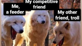 my-squad-mobile-legends