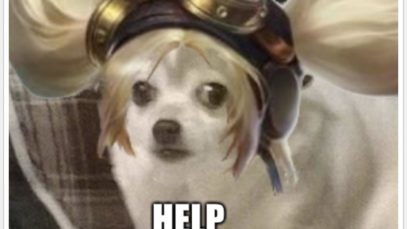 layla-checking-bush-found-gold