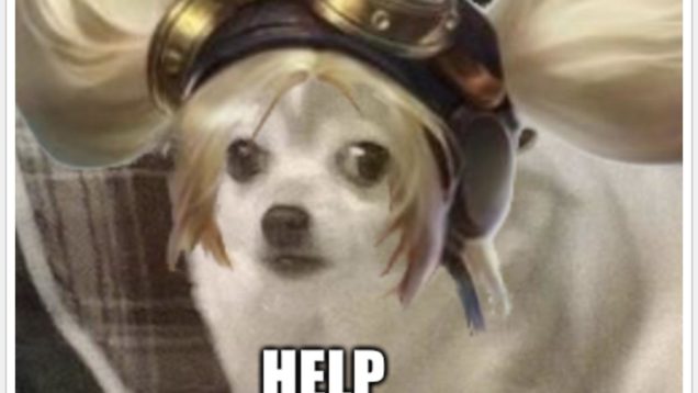 layla-checking-bush-found-gold