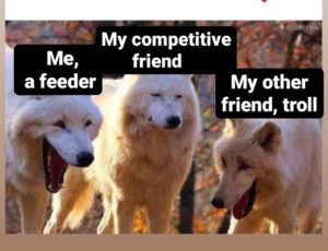 my-squad-mobile-legends