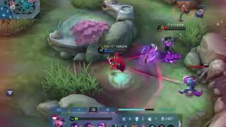 Alice’s Sustainability