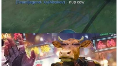 nub-cow-chou-trash